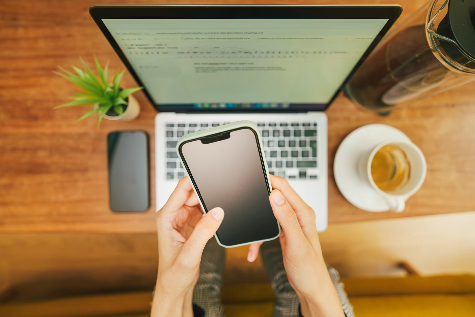 Online Betting for Beginners: Registration, Bonuses and First Steps